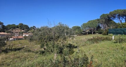 Roquebrune-sur-Argens Terrain à bâtir - 2438805-5163annonce420260224kULVo.jpeg Maisons Open