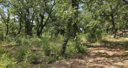 Callian Terrain à bâtir - 2438803-5163annonce220260224fuuXJ.jpeg Maisons Open