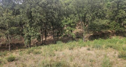 Taradeau Terrain à bâtir - 2438810-5163annonce32026022466OR6.jpeg Maisons Open