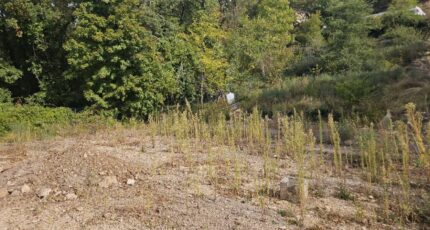 Saint-Vallier-de-Thiey Terrain à bâtir - 2438808-5163annonce220260224BVo7G.jpeg Maisons Open