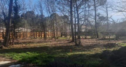 Gujan-Mestras Terrain à bâtir - 2438779-11151annonce120260223GTBSD.jpeg Maisons Open