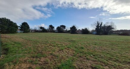 Saint-Augustin Terrain à bâtir - 2438846-3362annonce1202602246ZxOw.jpeg Maisons Open