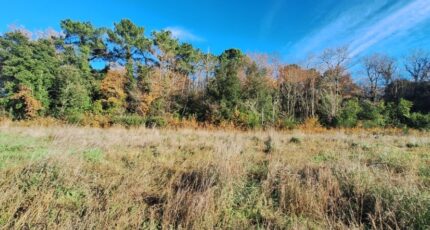 Les Mathes Terrain à bâtir - 2438852-3362annonce1202602241ckQQ.jpeg Maisons Open