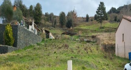 Limoux Terrain à bâtir - 2438868-10986annonce1202602243waVE.jpeg Maisons Open