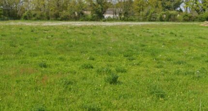 La Guerche-sur-l'Aubois Terrain à bâtir - 2438893-11786annonce120260224z5t0w.jpeg Maisons Open