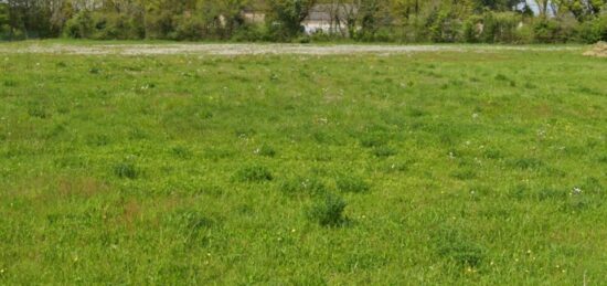 Terrain à bâtir à La Guerche-sur-l'Aubois, Centre-Val de Loire