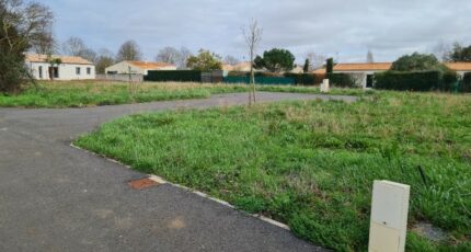 Pisany Terrain à bâtir - 2438889-11784annonce120260224ESIri.jpeg Maisons Open