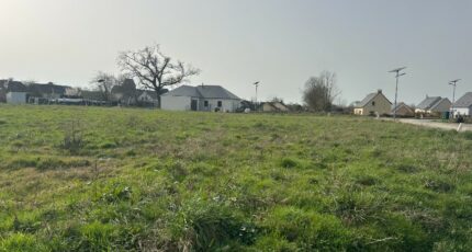 Couvains Terrain à bâtir - 2439117-11660annonce220260317P7Ieu.jpeg Maisons Open
