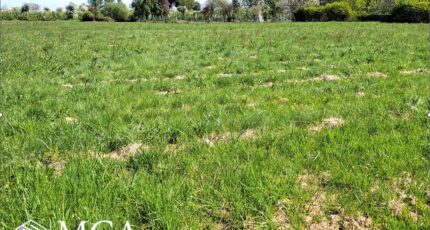 Gardonne Terrain à bâtir - 2439062-11103annonce120260224C1Fdr.jpeg Maisons Open