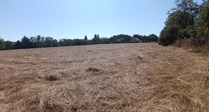 Mézidon-Canon Terrain à bâtir - 2396460-11227annonce120260117nV6IQ.jpeg Maisons Open