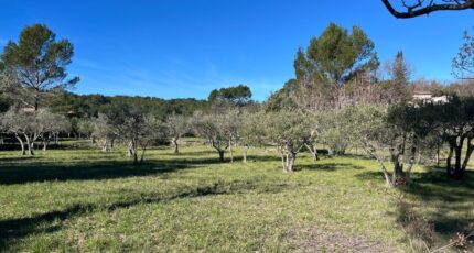 Flayosc Terrain à bâtir - 2439252-11723annonce420260224OH3N1.jpeg Maisons Open