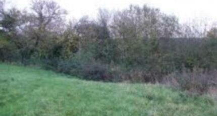 Jutigny Terrain à bâtir - 2439264-4032annonce120260224byvHy.jpeg Maisons Open