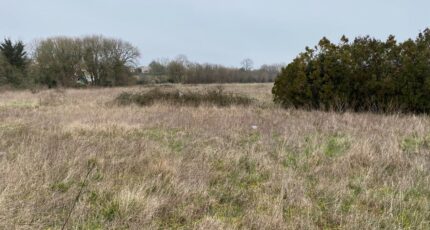 Pont-l'Abbé-d'Arnoult Terrain à bâtir - 2439261-11194annonce120260224tBTkd.jpeg Maisons Open