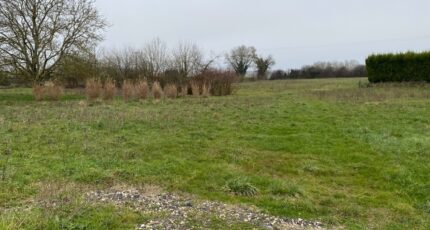 Champagne Terrain à bâtir - 2439369-11194annonce120260224fn0ac.jpeg Maisons Open