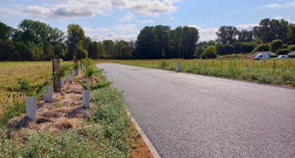 Marsac Terrain à bâtir - 2439457-11800annonce220260224ohIQM.jpeg Maisons Open