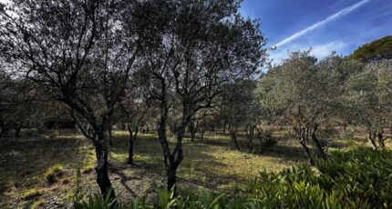 Lorgues Terrain à bâtir - 2439488-3701annonce120260224FceUq.jpeg Maisons Open