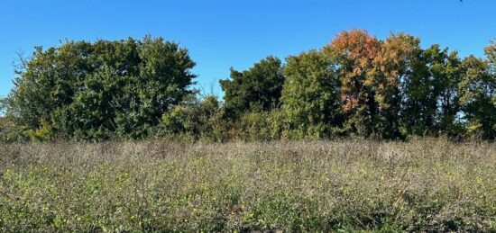 Terrain à bâtir à Ardillières, Nouvelle-Aquitaine