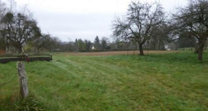 Onjon Terrain à bâtir - 2439596-4032annonce120260224Qisqh.jpeg Maisons Open