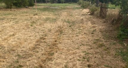 Saint-Seurin-sur-l'Isle Terrain à bâtir - 2439643-11367annonce1202602249h0ZS.jpeg Maisons Open