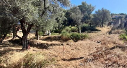 Saint-Martin-du-Var Terrain à bâtir - 2439830-3059annonce120260224Evm9D.jpeg Maisons Open