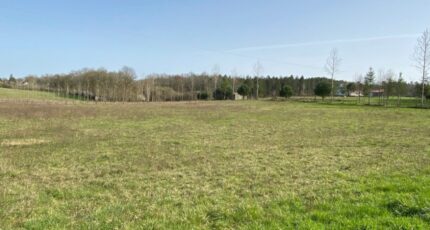 Liorac-sur-Louyre Terrain à bâtir - 2409275-7107annonce420260127fMWWC.jpeg Maisons Open