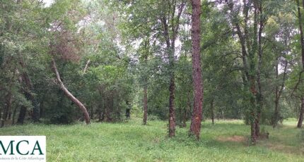 Ménesplet Terrain à bâtir - 2439576-5020annonce120260224ALK3n.jpeg Maisons Open