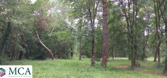 Terrain à bâtir à Ménesplet, Nouvelle-Aquitaine