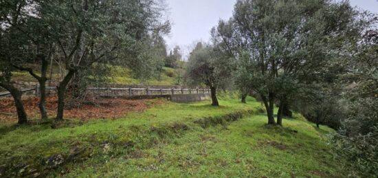 Terrain à bâtir à Berre-les-Alpes, Provence-Alpes-Côte d'Azur