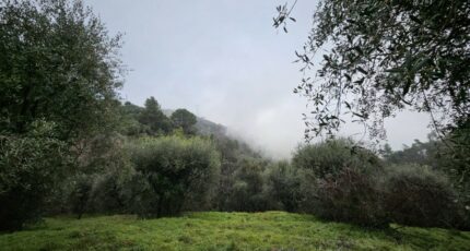 Berre-les-Alpes Terrain à bâtir - 2403348-10633annonce220250605Z3FVN.jpeg Maisons Open