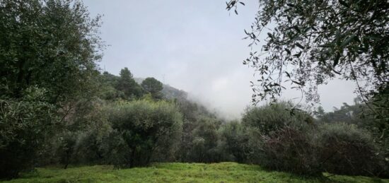 Terrain à bâtir à , Alpes-Maritimes