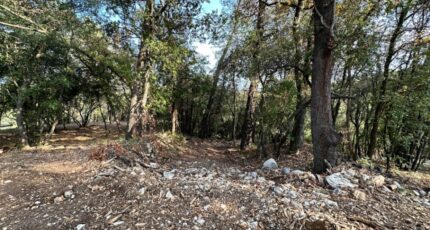 Roquefort-les-Pins Terrain à bâtir - 2403335-10633annonce1202309141owbi.jpeg Maisons Open