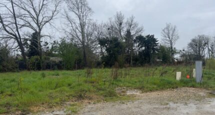 Castres-Gironde Terrain à bâtir - 2440149-1803annonce1202602250nf5W.jpeg Maisons Open