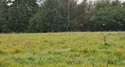 Tizac-de-Lapouyade Terrain à bâtir - 2440199-11015annonce120260225nDbNo.jpeg Maisons Open