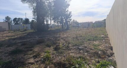 Saint-Clément-de-Rivière Terrain à bâtir - 2440666-3243annonce120260225ckk4A.jpeg Maisons Open