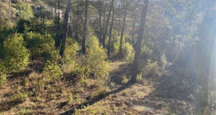 Brignoles Terrain à bâtir - 2440611-5922annonce120260225RihTb.jpeg Maisons Open