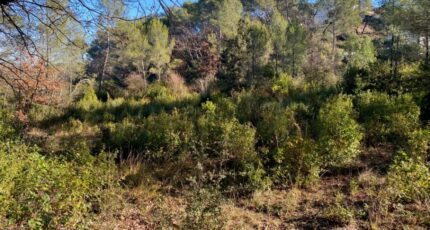 Brignoles Terrain à bâtir - 2440611-5922annonce320260225AOpyE.jpeg Maisons Open