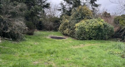 Cheix-en-Retz Terrain à bâtir - 2437252-11110annonce320260223IJcPv.jpeg Maisons Open