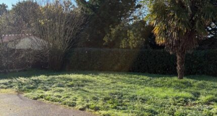 La Bernerie-en-Retz Terrain à bâtir - 2439449-11110annonce420260224Kg5hW.jpeg Maisons Open