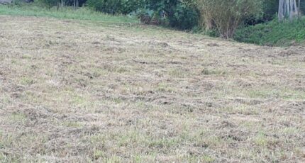 Saint-Romain-la-Virvée Terrain à bâtir - 2440449-11015annonce120260225TX0Nq.jpeg Maisons Open