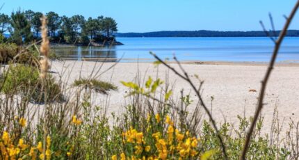 Hourtin Terrain à bâtir - 2440399-11370annonce120260126ysvWz.jpeg Maisons Open