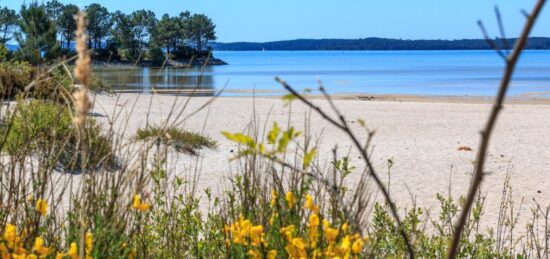 Terrain à bâtir à Hourtin, Nouvelle-Aquitaine