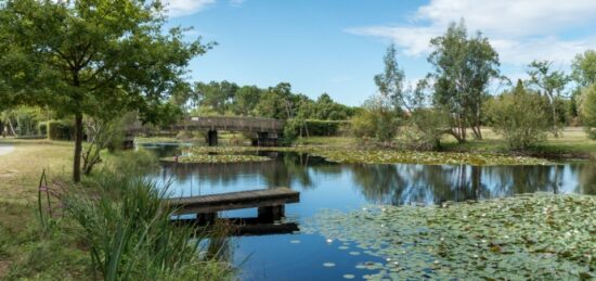 Terrain à bâtir à Hourtin, Nouvelle-Aquitaine