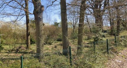 Saint-Germain-lès-Arpajon Terrain à bâtir - 2440773-4684annonce120260225k5UX3.jpeg Maisons Open