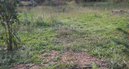 Aubagne Terrain à bâtir - 2403495-7080annonce320251114pdQCK.jpeg Maisons Open