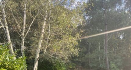 Le Pian-Médoc Terrain à bâtir - 2404838-11016annonce120260123AJTro.jpeg Maisons Open