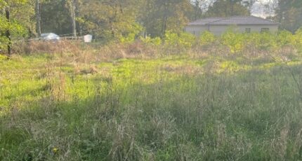 Margaux Terrain à bâtir - 2404801-11016annonce1202601239NVlC.jpeg Maisons Open