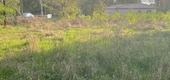 Terrain à bâtir à Margaux, Nouvelle-Aquitaine