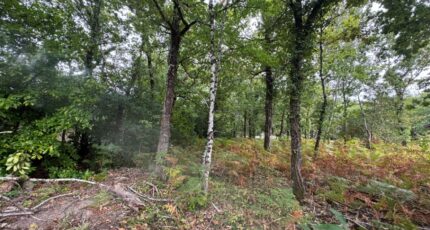 Grayan-et-l'Hôpital Terrain à bâtir - 2440937-10624annonce120250910Bp2vi.jpeg Maisons Open