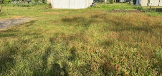 Terrain à bâtir à Lesparre-Médoc, Nouvelle-Aquitaine