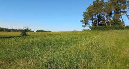 Échourgnac Terrain à bâtir - 2440063-5020annonce1202602256yrSb.jpeg Maisons Open